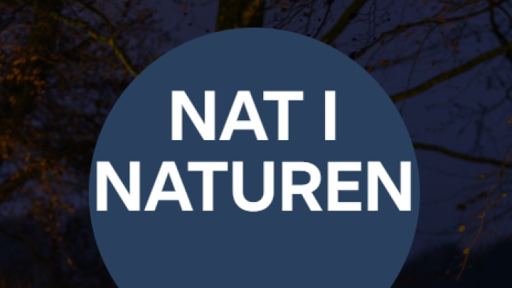 Nat i naturen 2020